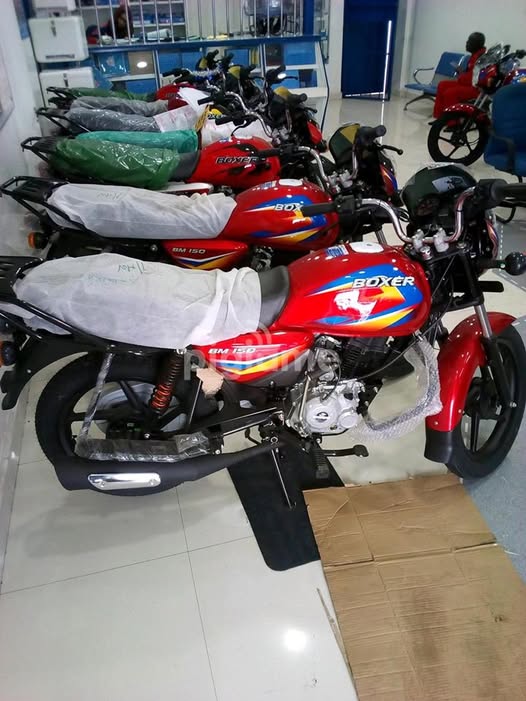 Boxer Motorcycle